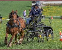 1POSIEUX 0390